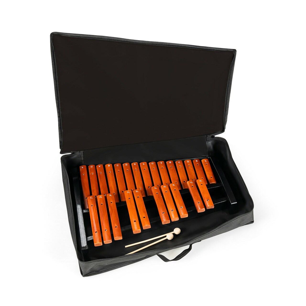 25-Note Xylophone with Carrying Bag, Wooden Keys and Mallets for Kids and Adults